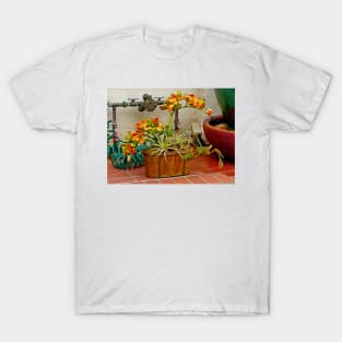 Carmel Orchids in a Corner T-Shirt